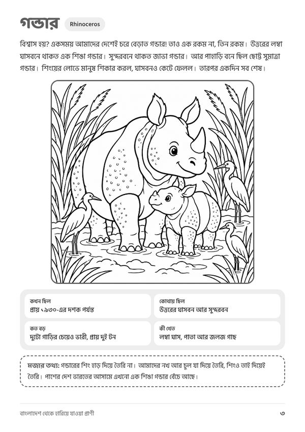 Sample page from Bangladesh
