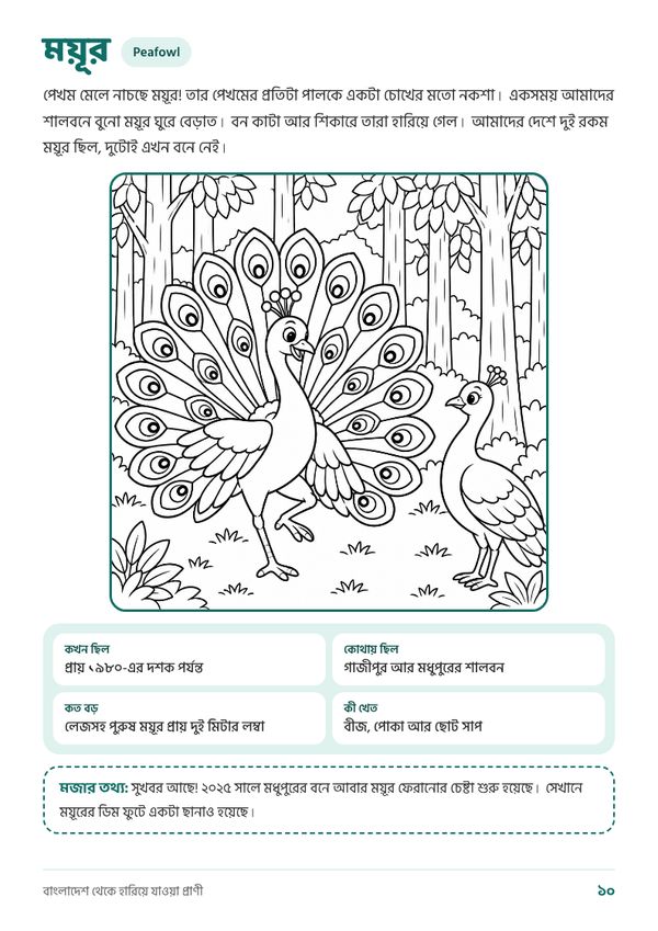 Sample page from Bangladesh